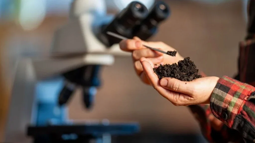 Illustrative image of Soil classification (USCS/AASHTO) in Corona California