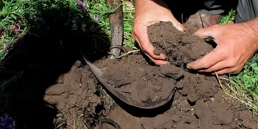 Illustrative image of Organic soil management in Corona California